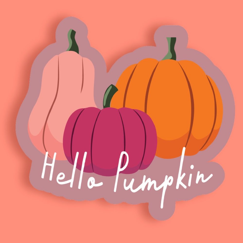 210 Fall Reseller Sticker Pack GLOSSY - Picture 10 of 10